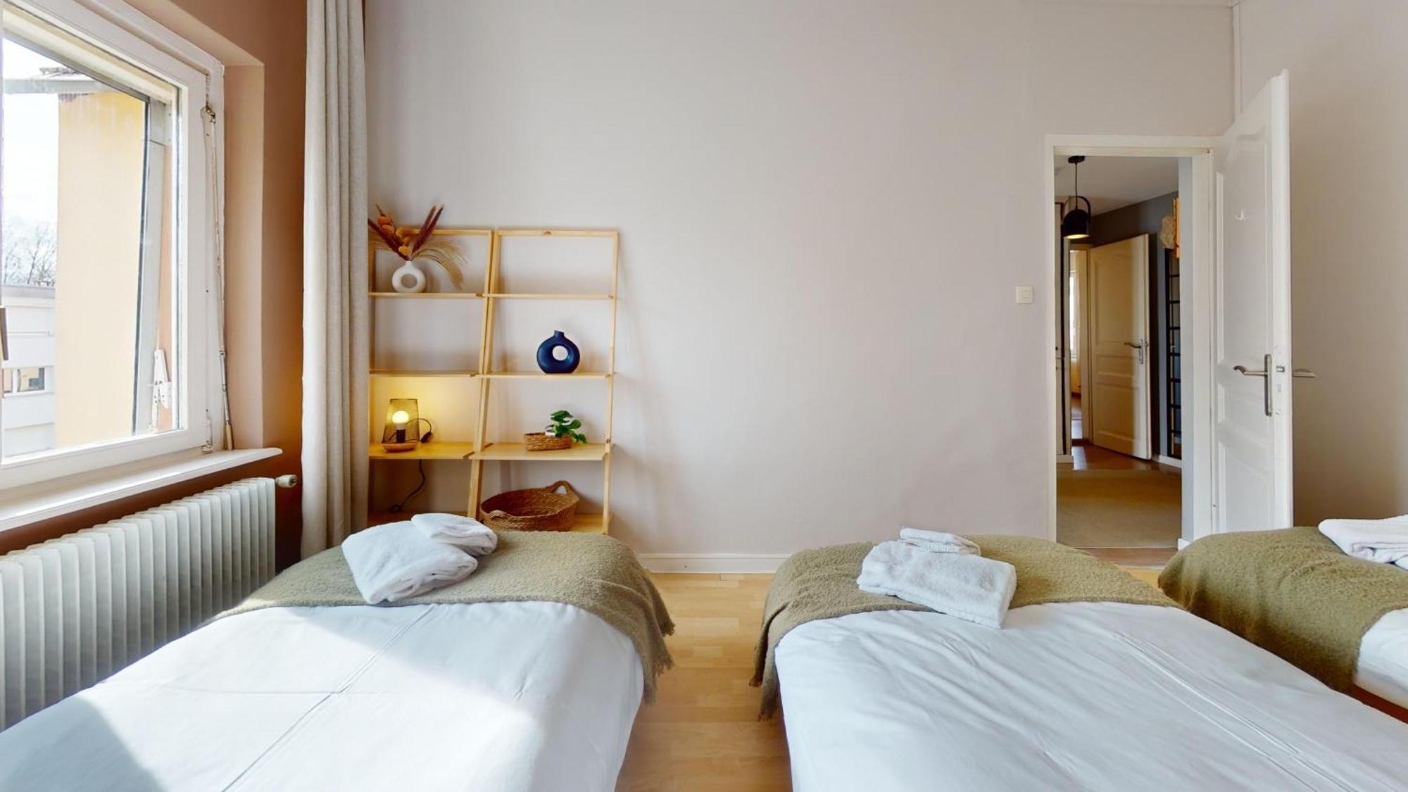 L'Alsacienne Apartment Colmar Ngoại thất bức ảnh
