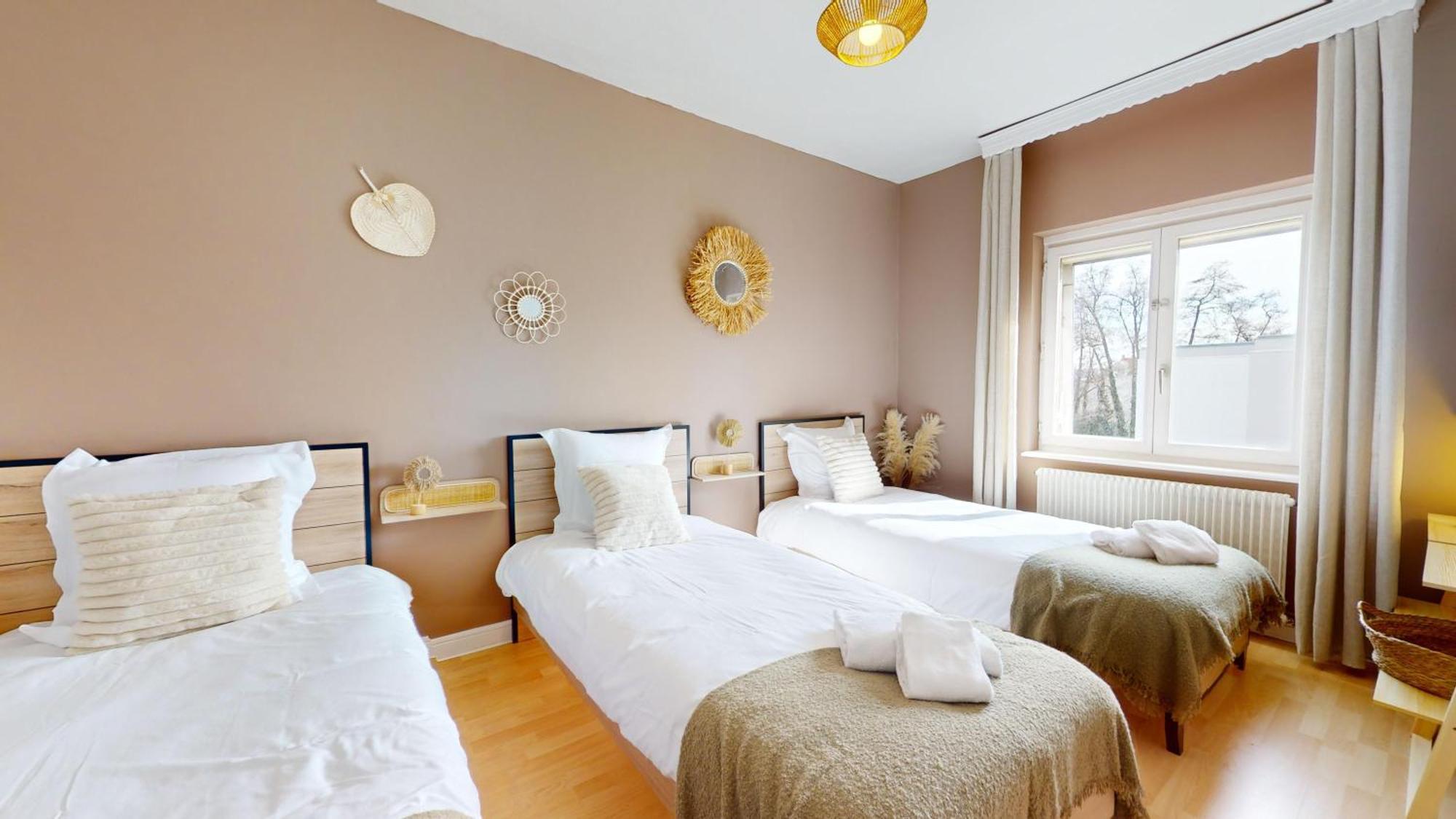 L'Alsacienne Apartment Colmar Ngoại thất bức ảnh